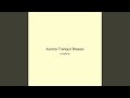 Aurora Tranquil Breeze