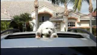 mommy & mac ghostride the volvo