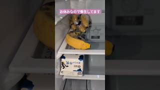 refrigerator 恋人よ 五輪真弓 2024年12月22日