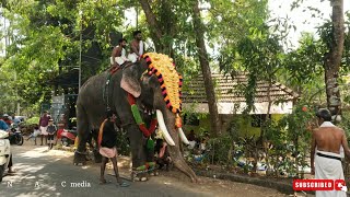 ചിരോത്ത് ചെറിയ രാജീവ് / കാട്ടൂർ പൊഞ്ഞനം പൂരം / 2023