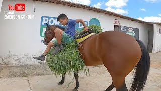 VAQUEIRO LEVY NA LIDA NO PARQUE GUARANI