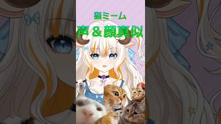 【猫ミーム】声真似\u0026顔真似してみた！ #猫ミーム #声真似 #vtuber #Vtuber準備中 #shorts