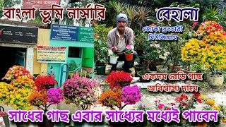 আপনার পছন্দ মতন গাছ ও টব পেয়ে যাবেন বাড়িতে বসে /সাধ্যের মধ্যেই গাছ হাতের মুঠোতে Bangla Nursery