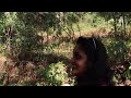 പൊന്നിടുക്കി ponnidukki episode 1 anachadikuthu waterfalls ആനചാടികുത്ത് വെള്ളച്ചാട്ടം stpz vlog