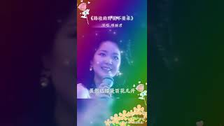 丽君一曲路边野花不要采 观众露出猥琐的笑容 #怀旧老歌 #经典老歌 #情歌 #好歌推荐 #邓丽君 #懷舊歌曲