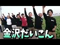 【金沢だいこん】踊る💃金沢だいこん！何がイイってprも全力！旨み全開！がイイ！