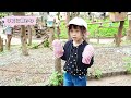 【vlog】最後にハプニング！？子供も楽しめる！リスに餌あげました​ @ 町田リス園