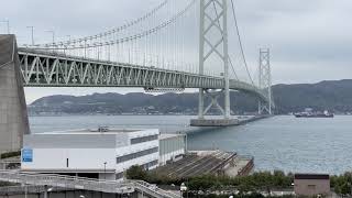 ⁴ᴷ【神戸市垂水区/苔谷公園の桜/2021】4/6(火) こけたにこうえん