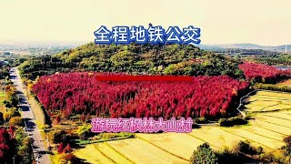 全程地铁公交游玩高淳红枫林，现在正是最佳观赏期。#南京去哪玩