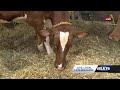 Livestock participants talk about the changes at the 117th Kentucky State Fair