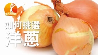 【健康小學堂】洋蔥超強殺菌力　營養師這樣挑