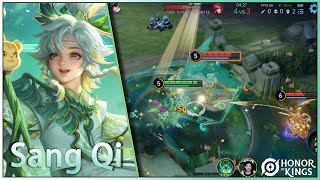 Sang Qi｜Ninth Anniversary Skin｜Essa é a melhor skin de Sangqi.｜Honor of Kings