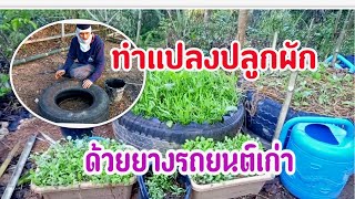 วิธีตัดยางรถยนต์ ทำปลูกผัก #เกษตรอินทรีย์ #ปลูกผักสวนครัว #ปลูกผักกินเองในกระถาง