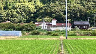 コスモス畑ができるまで♪「草刈り編」