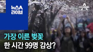 99년 만에 가장 이른 벚꽃…한 시간 99명 감상? | 뉴스A 라이브