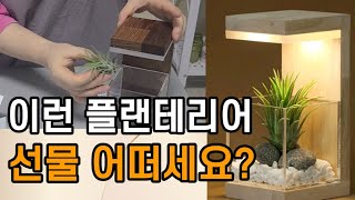 이런 선물 어떠세요? 무드등 하나로 분위기 바꾸기| 원목조명등, 플랜테리어 | 미세먼지 먹는 식물 이오난사 |그린테리어, 집들이선물