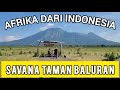 WISATA AFRIKA VAN JAVA BALURAN TAMAN SAVANA BALURAN SITUBONDO