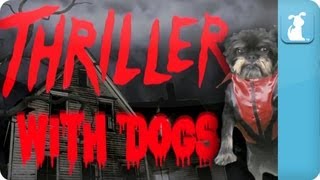 Thriller...With Dogs - Petody