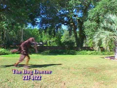 The Bug Doctor The Bug Doctor