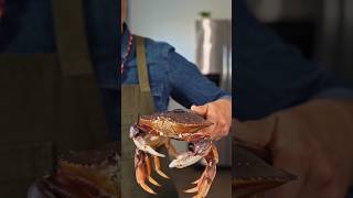 Do you know - 367 | Lobsters turn blue once cut in half 😲 #newvideo #bestvideo #viralreels #shorts