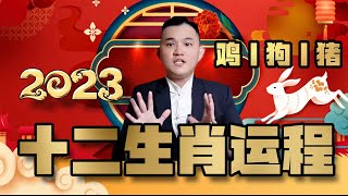 2023年｜雞狗豬的年運程｜十二生肖癸卯兔年運程大全｜詳細解析