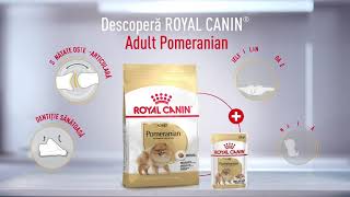 Royal Canin Pomeranian - www.vetpet-shop.ro