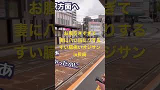 北九州・福岡・佐賀・長崎ツアー（その5）長崎☆長崎県☆長崎市☆長崎新地中華街☆中華街☆眼鏡橋☆出島☆トルコライス☆長崎出島ワーフ☆クリスマス☆イルミネーション☆横浜から旅さんぽ☆ アラシックス☆夫婦旅