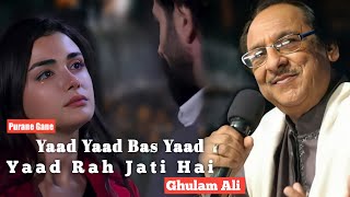 Yaad Yaad Bas Yaad Reh Jati Hai- Ghulam Ali | Nadeem Shravan | Sameer |