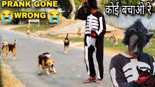 Ghost prank on Dog 🐕🫡// scary ghost prank#ghost#prank#ghostprank#bhoot