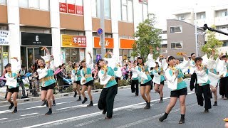 team清門 - 清超(流し) [2018.03.18 越谷YOSAKOIソーラン祭り]