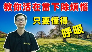 佛教談煩惱 #10 佛陀教你活在當下除煩惱，只要懂得呼吸。利用當下的力量提起正念，去除妄念煩惱。