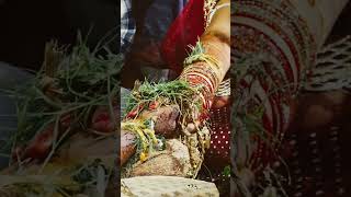 Odia Bahaghara Hata Ganthi (Biswajit Weds Laxmi) #marriage #odiamarriagevideo