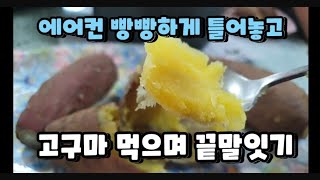 에어컨 빵빵하게 틀어놓고 쉬는 시간에 짱 뜨거운 꿀고구마 먹기