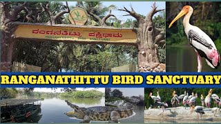 RANGANATHITTU BIRD SANCTUARY | KARNATAKA"S LARGEST BIRD SANCTUARY | BIRD SANCTUARY | MYSORE TOURISM