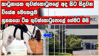 අද සිට කටුනායක ගුවන්තොටුපොලේ සිදුවන විශේෂ මෙහෙයුම - Airport News