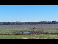 person windsurfs on the potomac