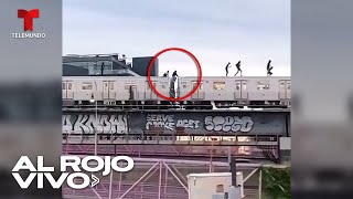 Joven hispano muere al intentar peligroso reto de surfear sobre trenes del metro en Nueva York