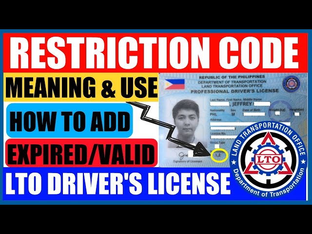 Additional Restriction Code Drivers License 2022 59 Off