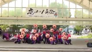 2016　竜koi　舞祭　　かわさき向魂　審査演舞