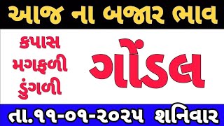 commodity prices 11-01-2025 Gondal marketing yard na bhav|ગોંડલના ભાવ | saurashtra aajn bajar bhav