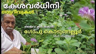 മുടി തഴച്ചു വളർത്തും കേശവർധിനി   | ഗോപു | കൊടുങ്ങല്ലൂർ |