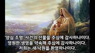 [ 십자군 기도 ] 토요일