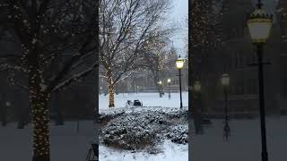 The University of Chicago campus in the snowfall (12/22/2022).