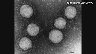 〈新型コロナ〉岡山県で既に陽性が確認されていた4人の検体から変異型ウイルス　新規感染者は9人