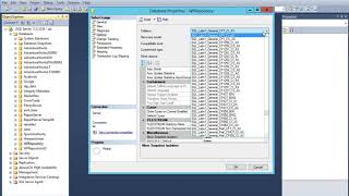 How to Identify SQL Database Case Sensitivity or Collation