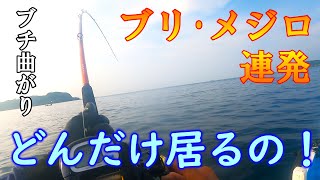 【海の中は青物の大群！当たればブリ･メジロ!! もぉやめて～】