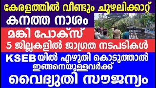 കേരളത്തിൽ വീണ്ടും ചുഴലിക്കാറ്റ് കനത്ത നാശം  | KSEBയിൽ വൈദ്യുതി സൗജന്യം | Kerala weather