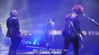 LUNA SEA Ray (中日字幕)