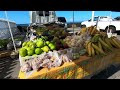 dominica market visiting dominica s fish u0026 vegetable market