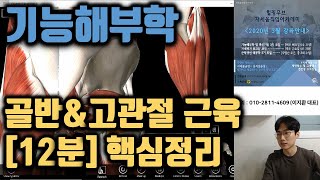 4-2. [3D해부학 어플] 골반,고관절 근육 핵심정리 [12분 요약] | 기능해부학 및 촉진기법 |힐링무브 |essential anatomy